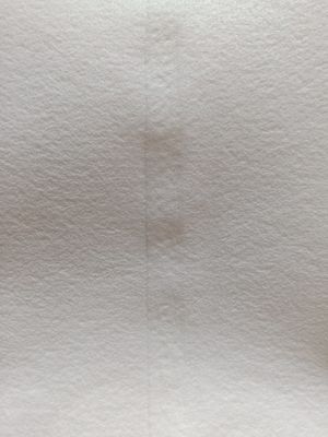 Sachet filtre liquide du PE NMO de pp 10 Mircron 1200um pour la filtration de l'eau